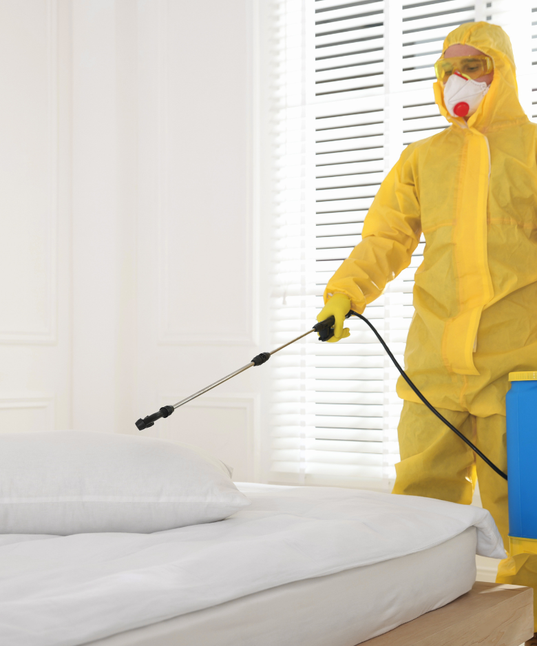 Professional Pest Control Team in Bradbury